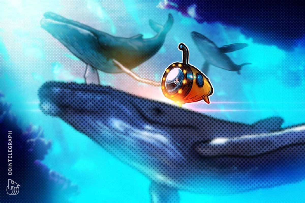 Baleia da Solana naufraga com 2.450.418 SOL usados como garantia de empréstimo de US$ 44,8 milhões 