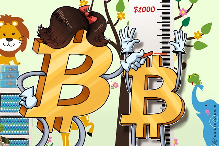 Bitcoin Price Between $2,000 and $3,000 by End Of 2017: Technical Analysts