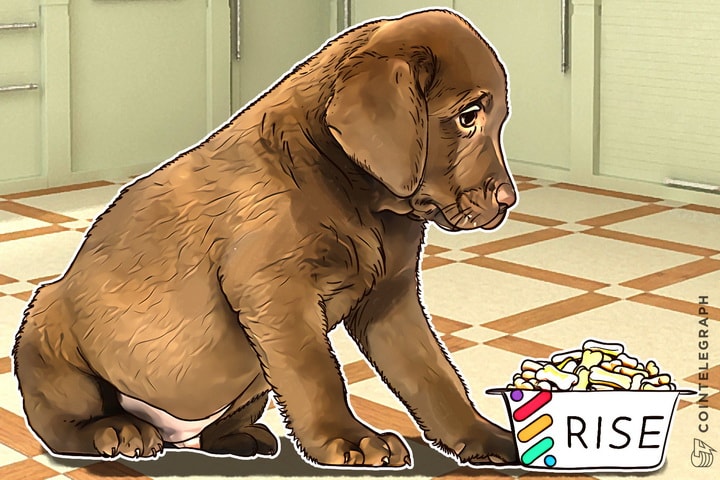 New DAPP Platform Rise Aims At Being Most User-Friendly