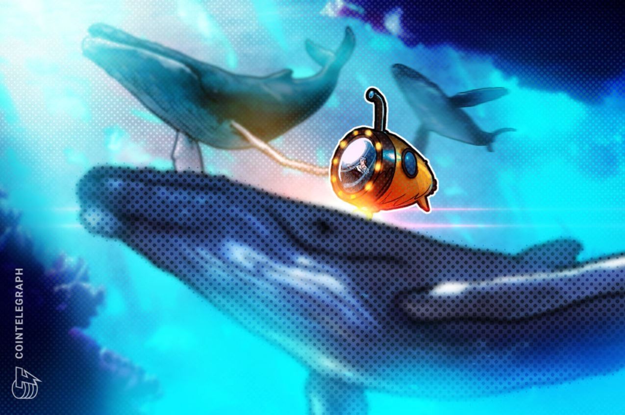 Balinaların hedefinde MATIC ve LTC var