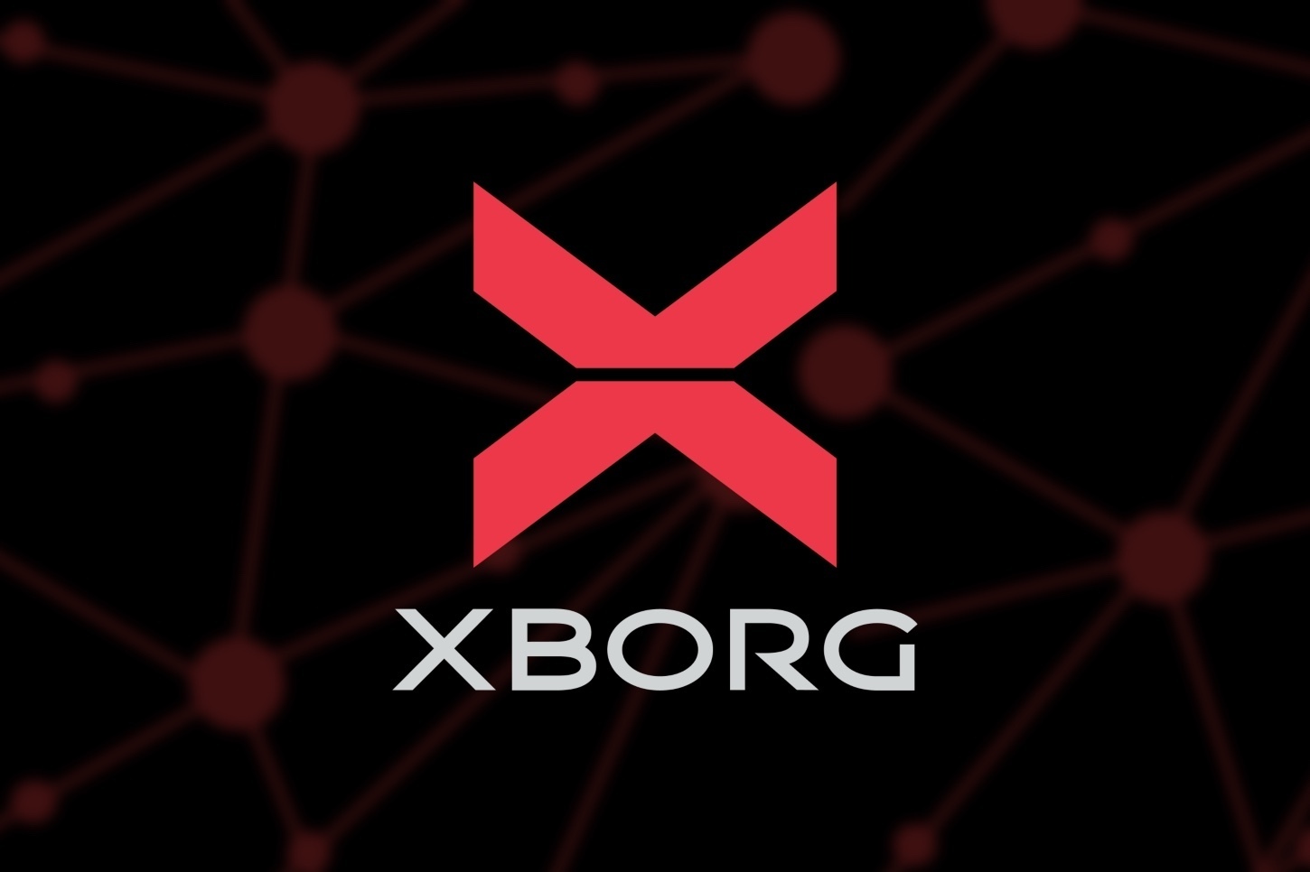 XBorg secures $9M to bring player identity to the masses