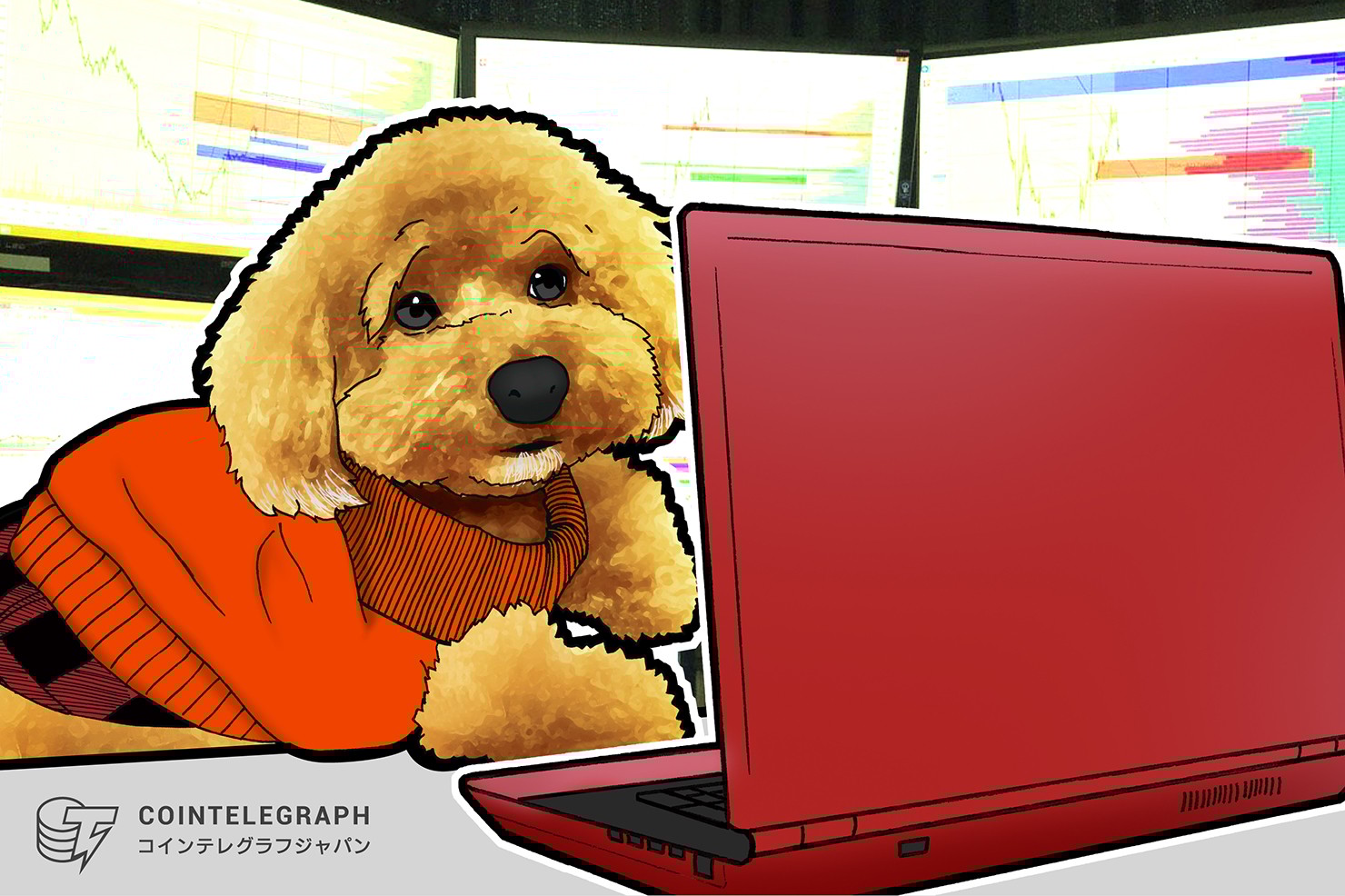 ビットコインは”プチバブル”の様相 今後のサポートは？【トシムリンの仮想通貨相場分析】