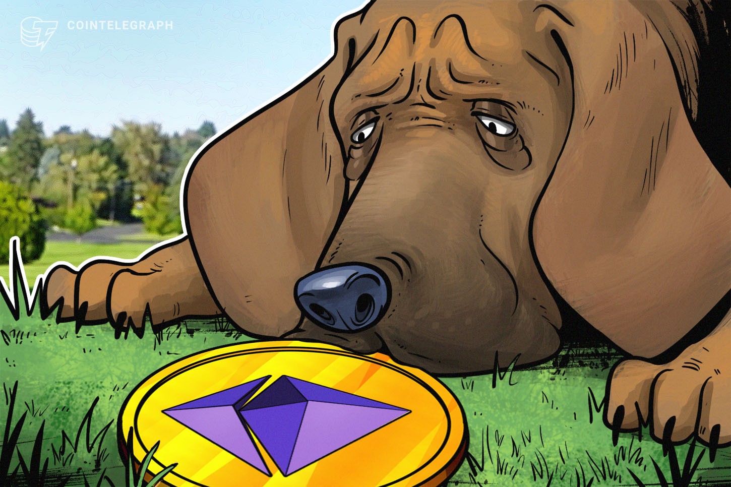 QuadrigaCX almacenó ETH en Kraken, Bitfinex y Poloniex, según datos de una investigación