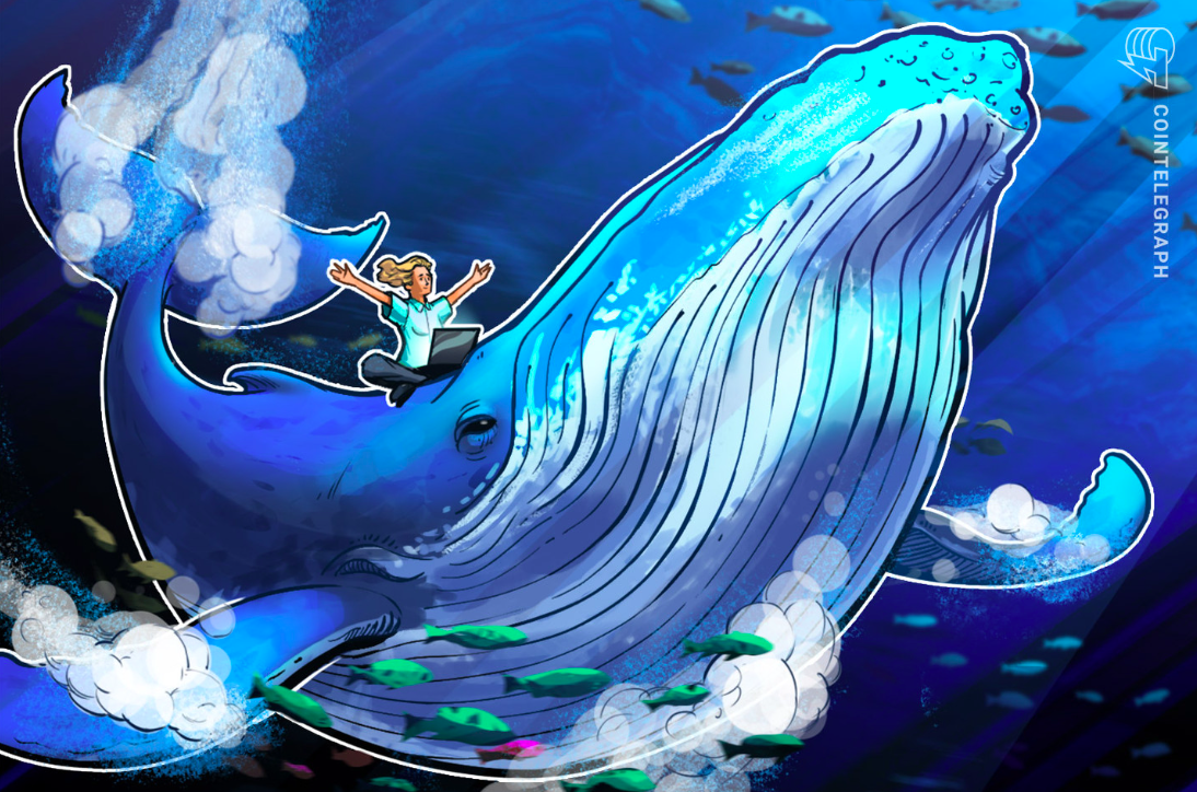 100 maiores baleias do Ethereum acumulam mais de US$ 85 mil na criptomoeda brasileira Wibix que está entre as mais compradas