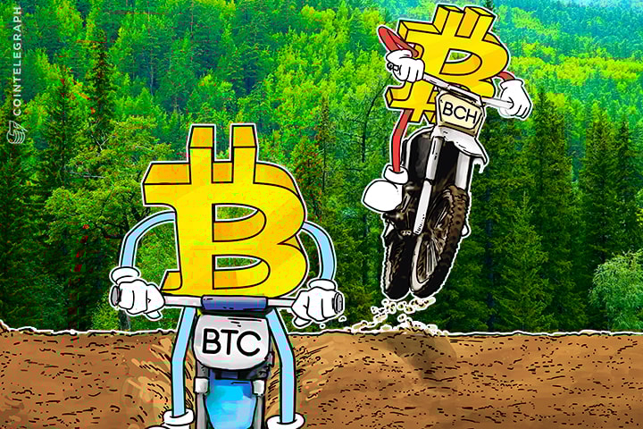 Criptomania em estado máximo: Altas e baixas diárias