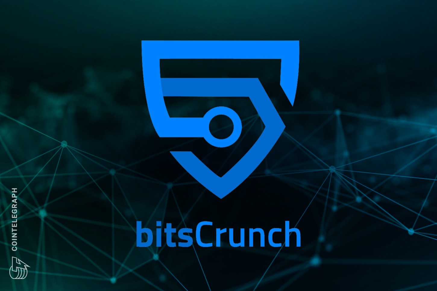bitsCrunch launches a program for developers and startups