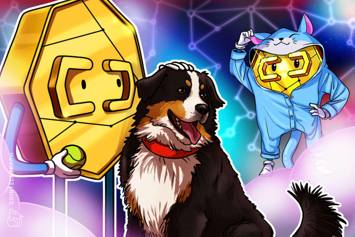 Proyecto blockchain busca ayudar a animales en Perú 