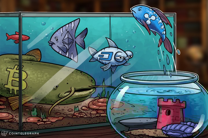 Ripple Price Surge Continues, Altcoin Takes Advantage Of Bitcoin Scaling Troubles