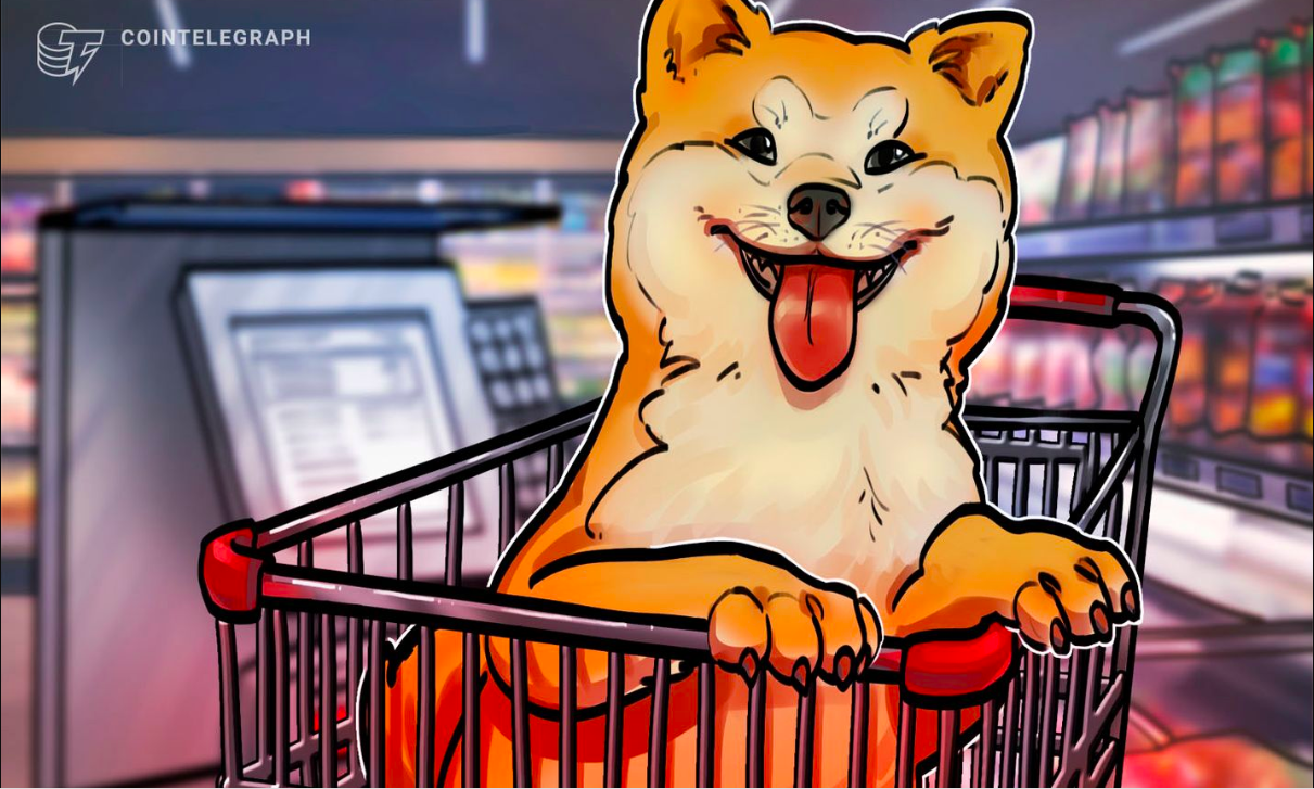 Hora de comprar Shiba Inu antes de alta de 40%, diz analista apontando queda do BTC para US$ 25 mil antes de pump para US$ 40 mil