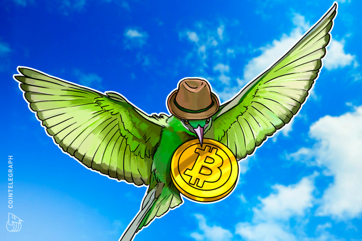 比特币价格屡创新高,哪些“大户”在买买买?