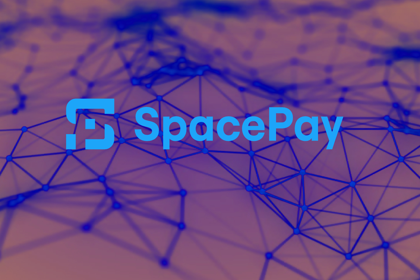 Starkes Wachstum vorprogrammiert? Den Altcoin SpacePay sollte man im Jahr 2025 beobachten