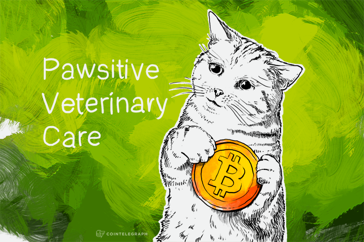 Pawsitive About Bitcoin