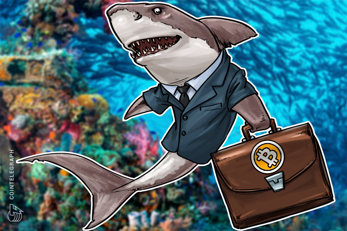 Dados mostram a mudança de "detentores" para especuladores do Bitcoin nos últimos 6 meses