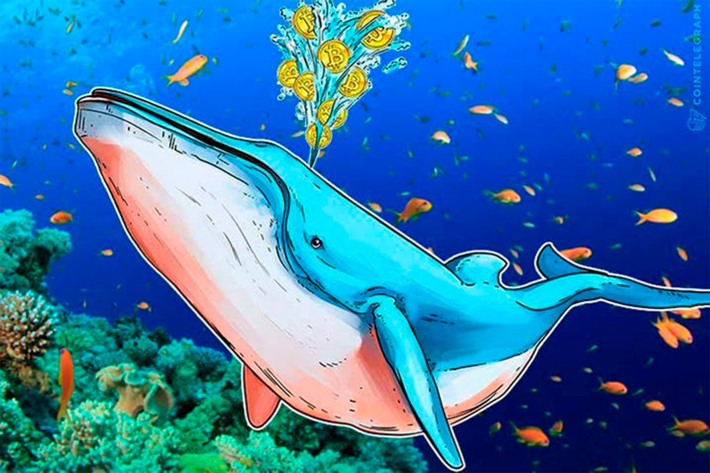 Baleia compra token e causa valorização de 33%