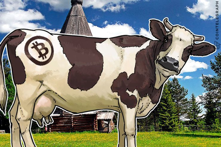 Argentina impulsa proyecto “BitCow USA” en EEUU. Una herramienta alimentada por Blockchain para tokenizar vacas