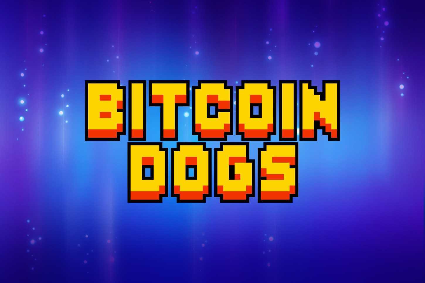 不到10天突破340万美元: 开创性的 BRC-20 ICO 势头不减