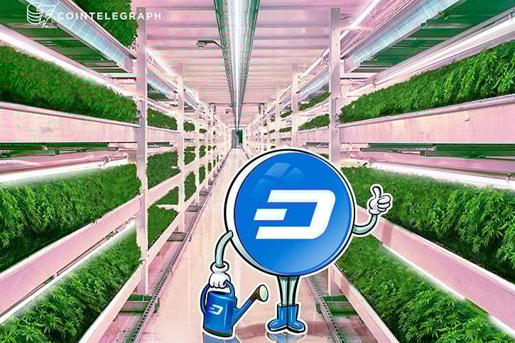 Moeda digital parece resolver o problema do dinheiro na indústria de cannabis