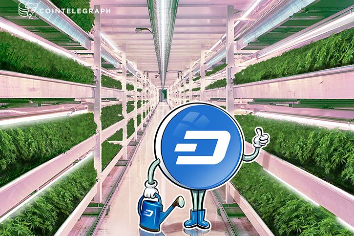 Moeda digital Dash agora utilizável em 13.000 locais no Brasil