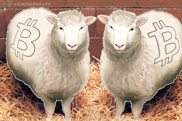 Xapo en SegWit2x: No podríamos tratar la cadena de BTC como Bitcoin real