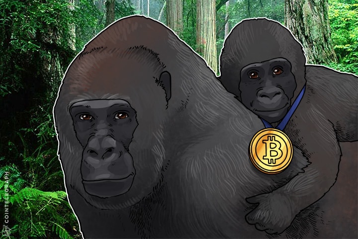 Does Bitcoin Need Government Support For It to Go Mainstream?