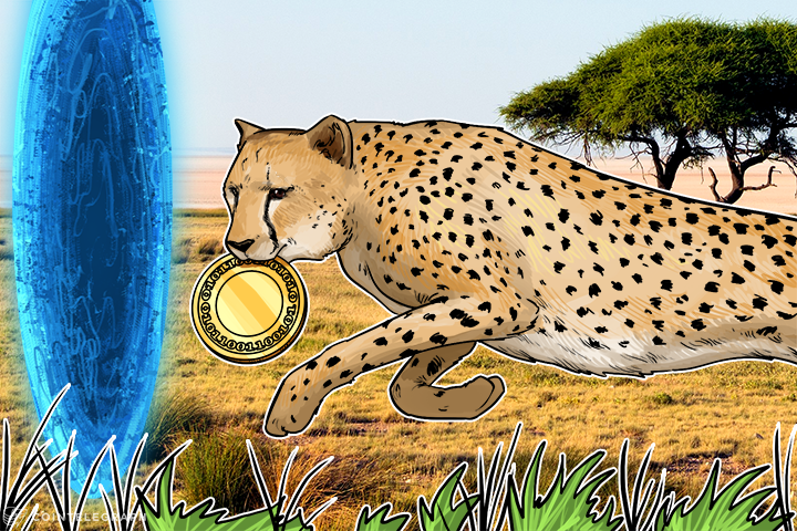 Criptomoedas podem ser o pulo do gato da África para o futuro