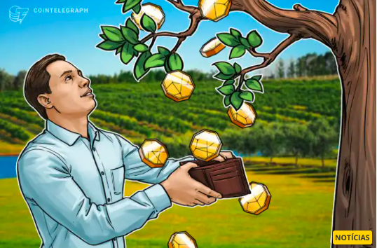 Especialista indica as 5 melhores criptomoedas para comprar e ganhar dinheiro com staking