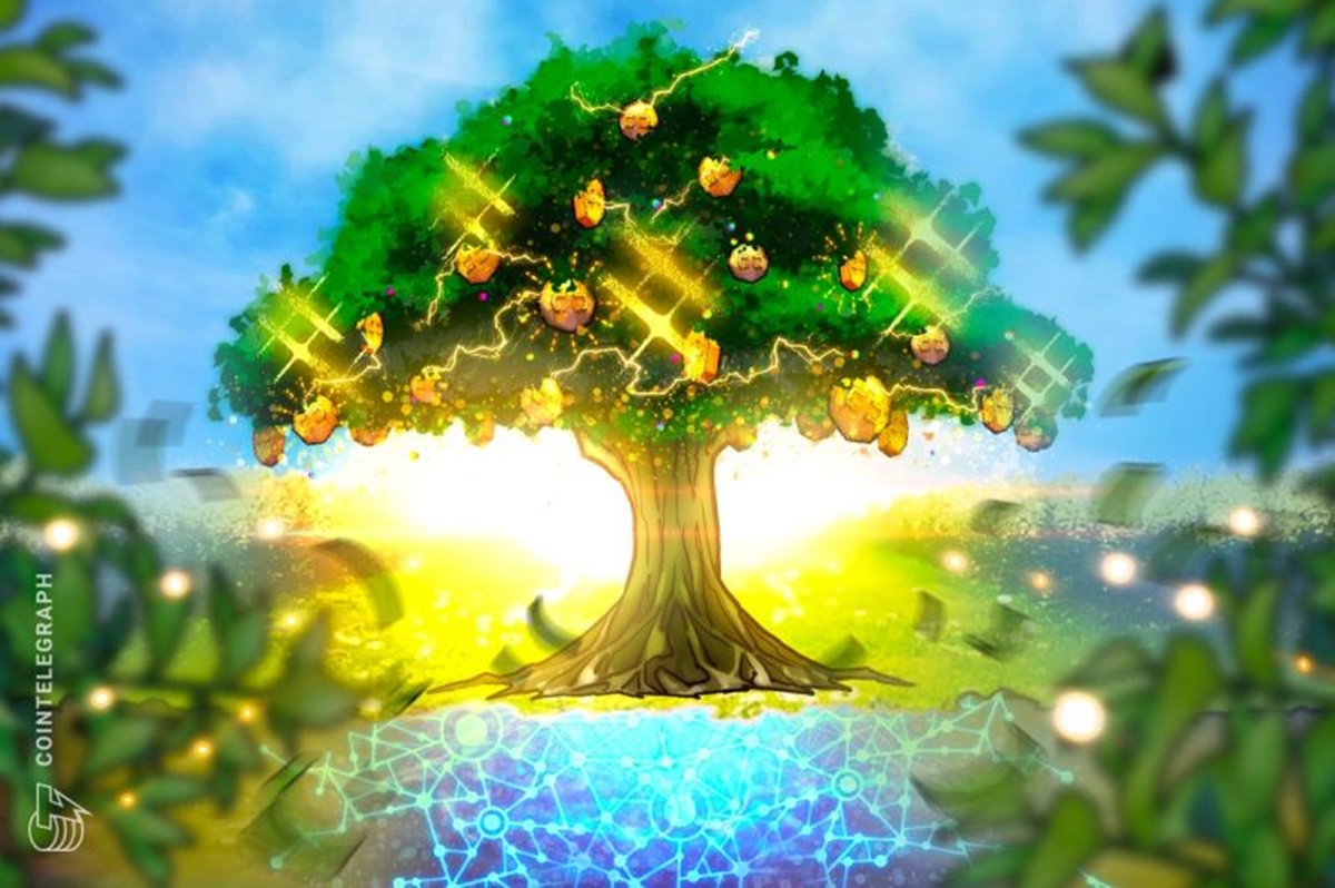 Brasil ganha token vinculado a títulos de financiamento de reflorestamento e preservação de vegetação nativa em áreas rurais