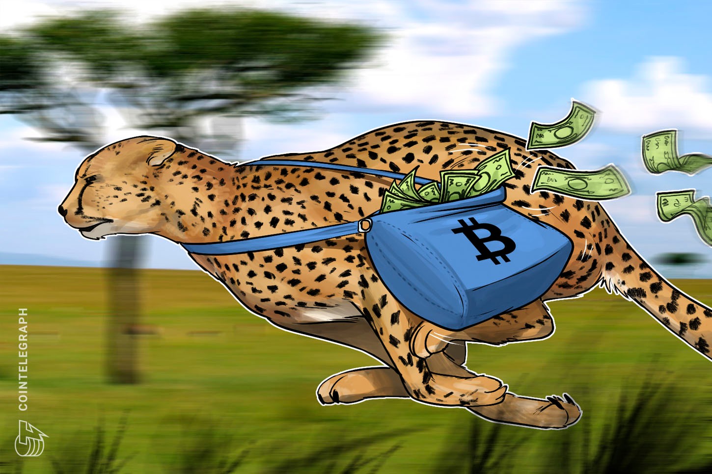 Relatório indica que taxas de transação do Bitcoin caem para níveis de 2014