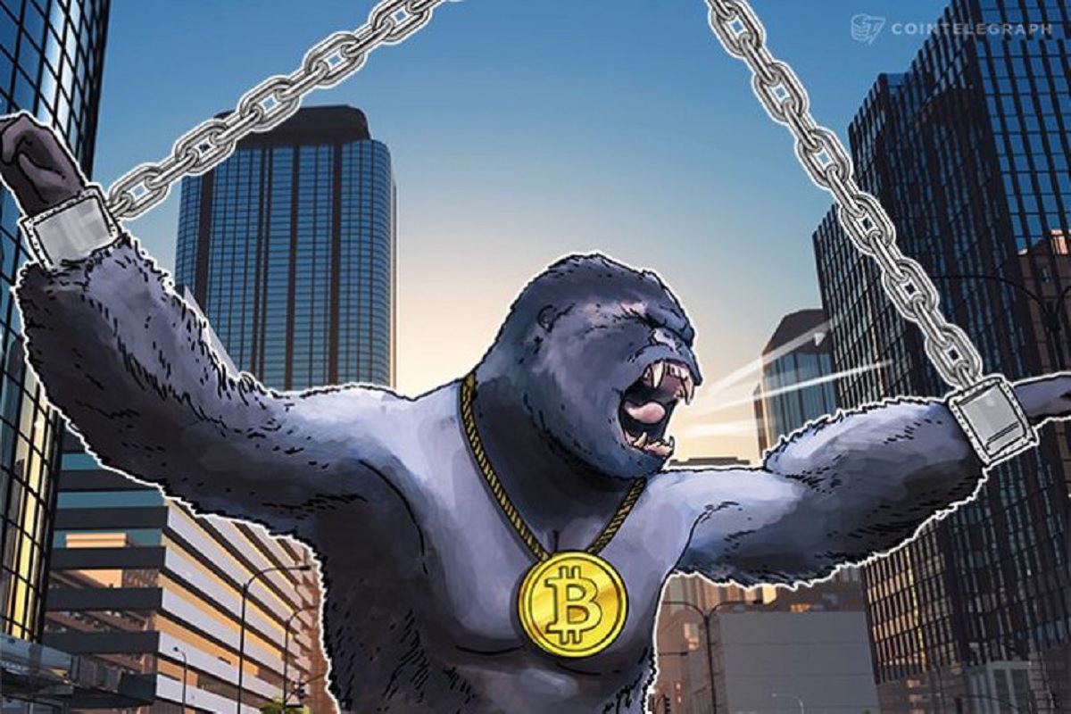 ‘Gorila de 800 libras’ e padrão histórico podem derrubar o Bitcoin ainda mais, alertam especialistas