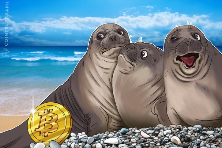 El presidente de UBS no aconseja Bitcoin para inversores individuales, no quiere culpa si el mercado colapsa