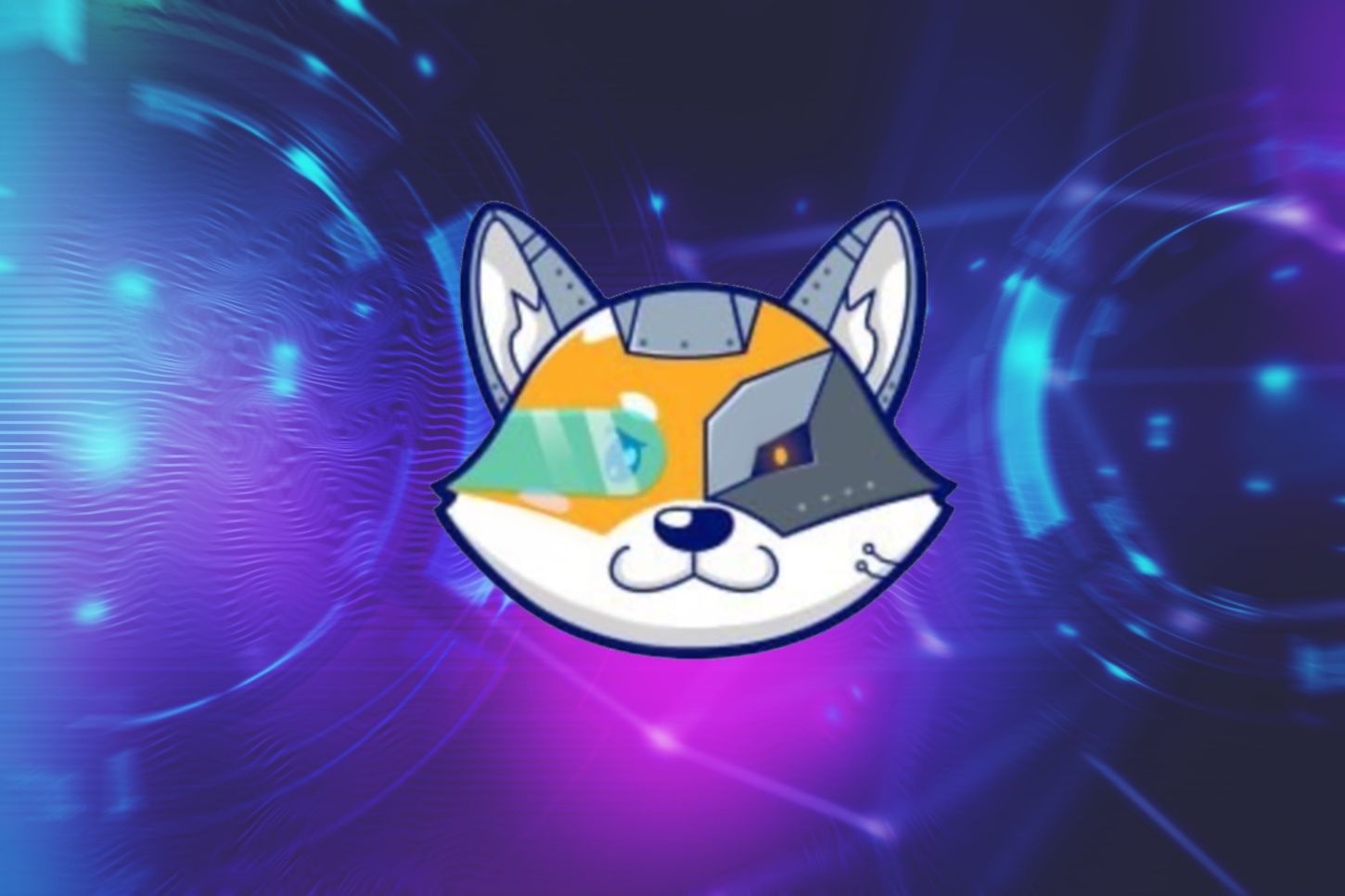 Prevendo 2024 – A Valorização do Shiba Memu e da Polygon podem Explodir No Novo Ano