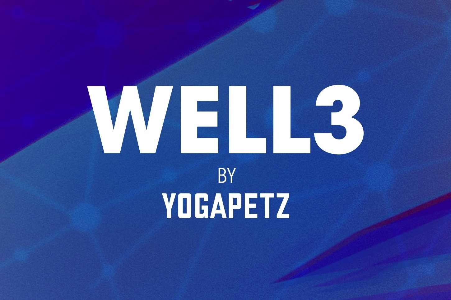Understanding WELL3: Securing over $5M in funding, revolutionizing the health industry with AI