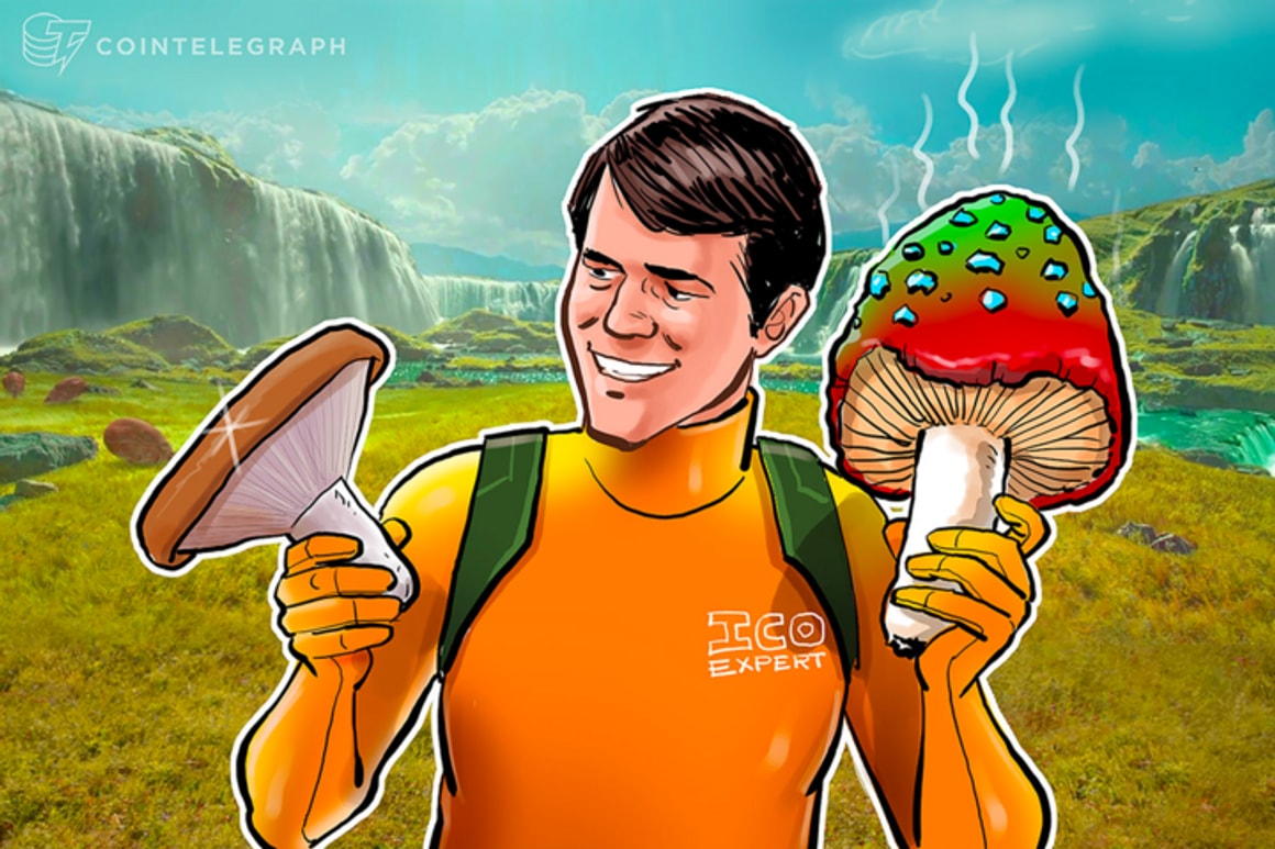 BioTech brasileira lança token a US$ 1 lastreado em medicamento psicodélico que pode chegar a US$ 135 a cápsula