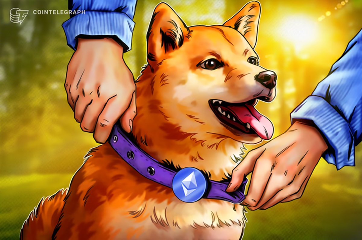 Baleias e sardinhas estão em pânico com Ethereum e ‘enlouquecidas’ com Dogecoin, apontam análises