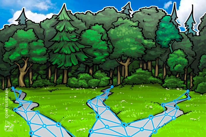 Blockchain: Chainwood finaliza proyecto con desarrollo de una herramienta para trazabilidad de madera
