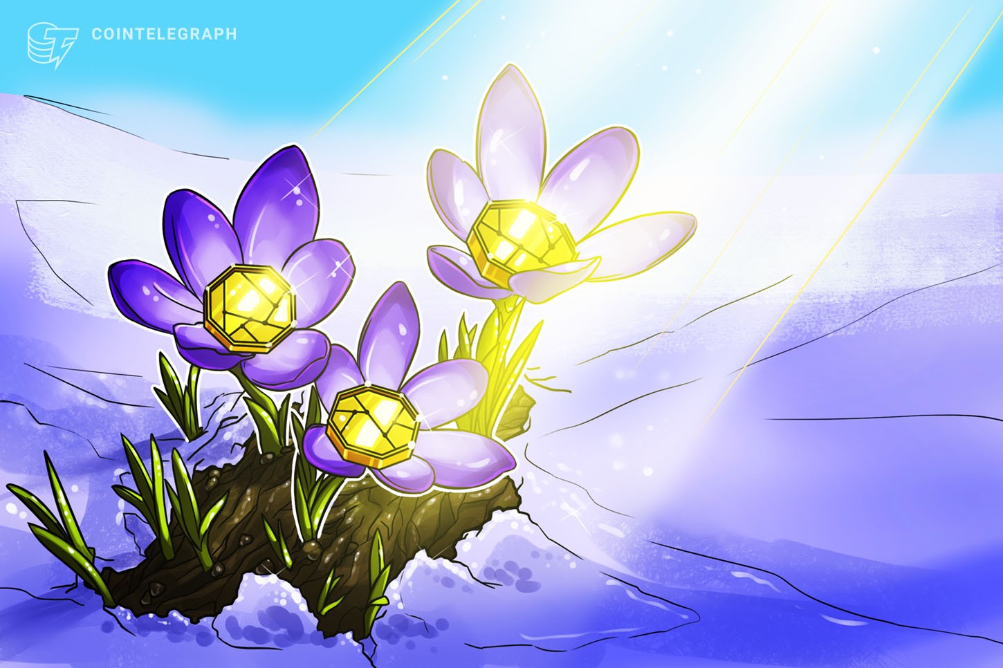 Cómo las donaciones de criptomonedas están ayudando a las víctimas de la tormenta de invierno de Texas 