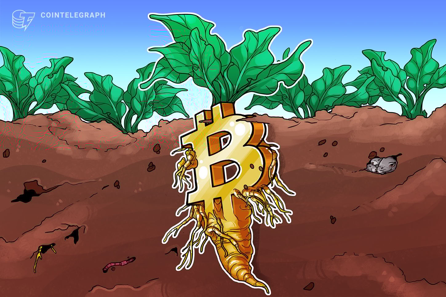 Atualização do Bitcoin: Taproot melhora a rede, pois o impacto do preço do BTC pode ser limitado
