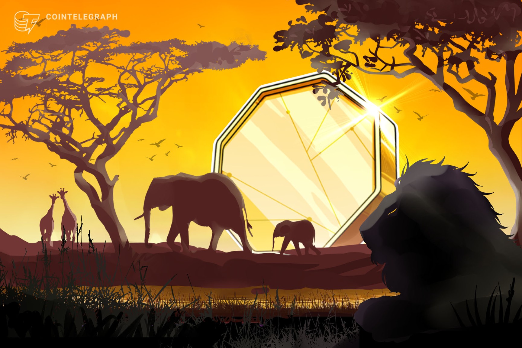 República Centro-Africana quer tokenizar os recursos naturais do país