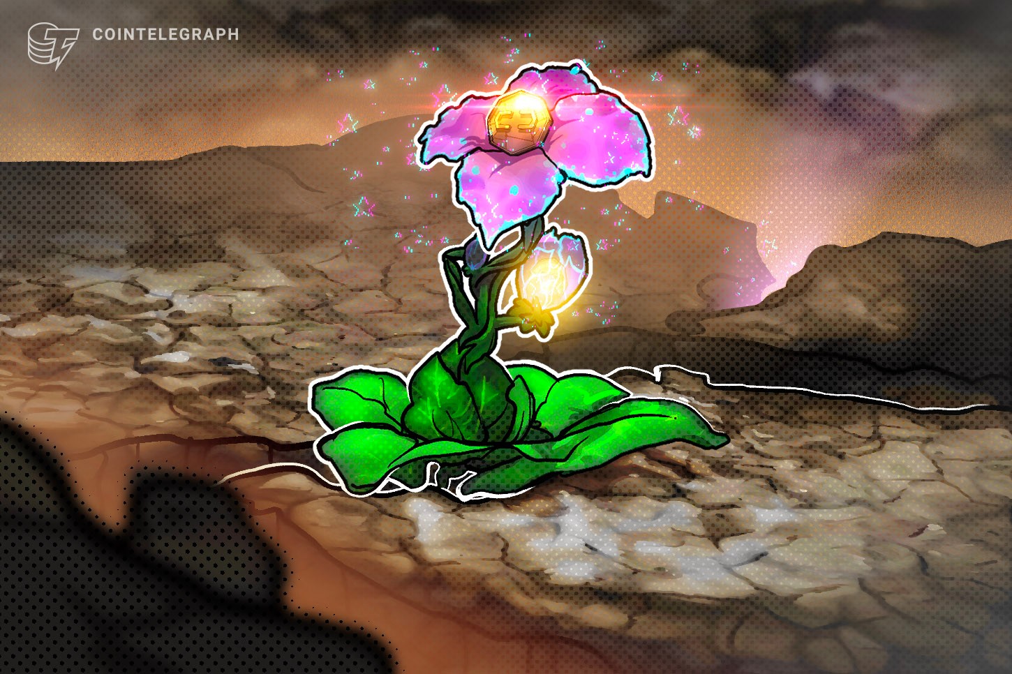 尽管FTX崩溃，但加密热点地区继续蓬勃发展