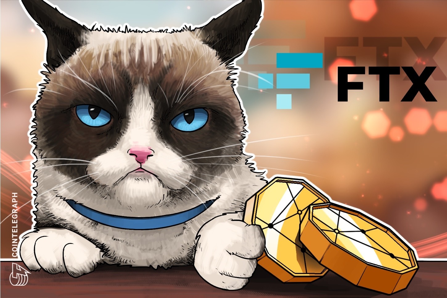 Hodlnaut trabalha com potenciais compradores para vender a empresa e reivindicações da FTX, aponta reportagem