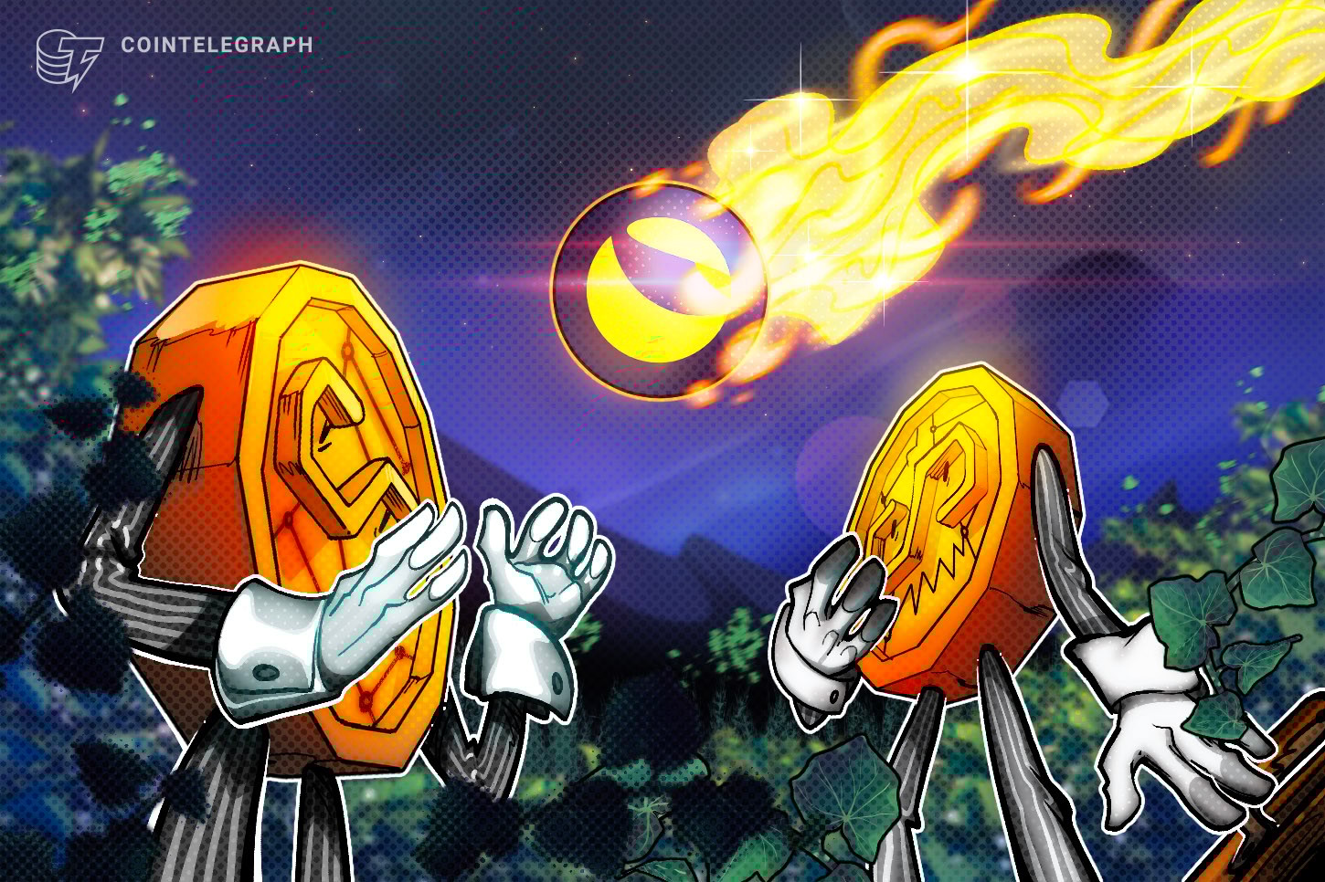 Aniversário do crash do Terra: a comunidade reflete sobre as lições aprendidas