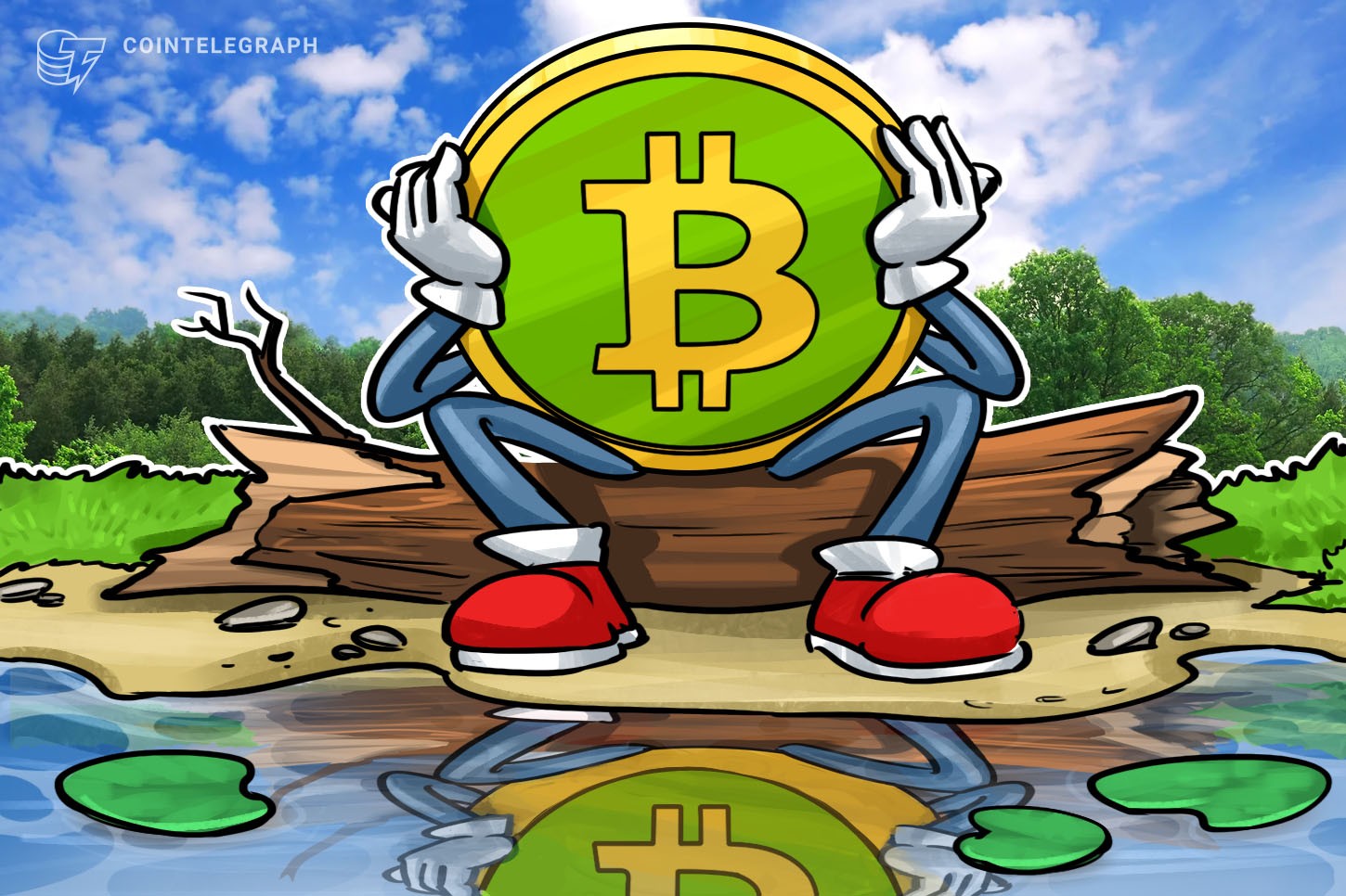 Interés abierto en Bitcoin Cash cae 47%