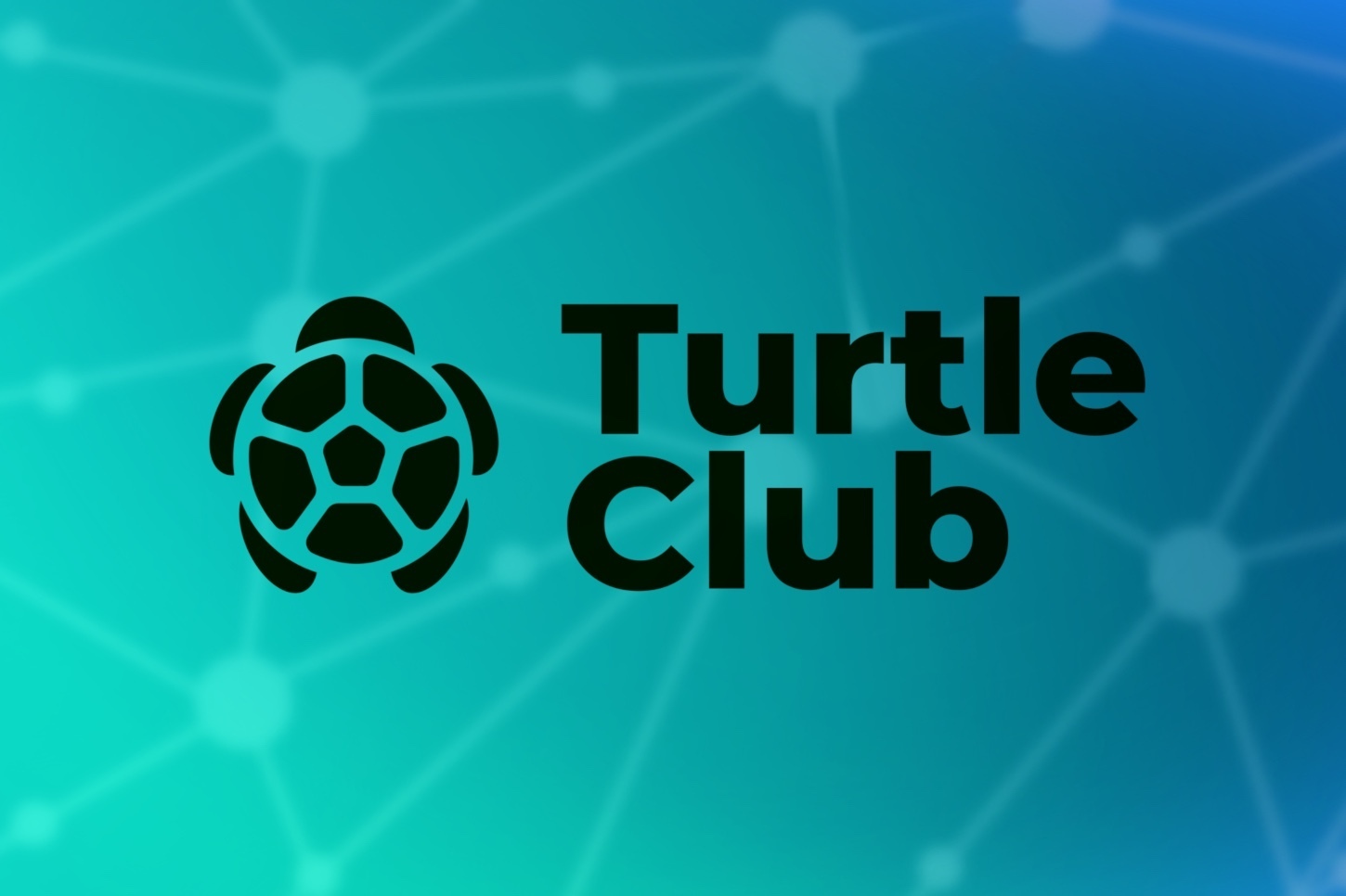 Turtle Club raises $6.2M to advance on-chain liquidity distribution protocol