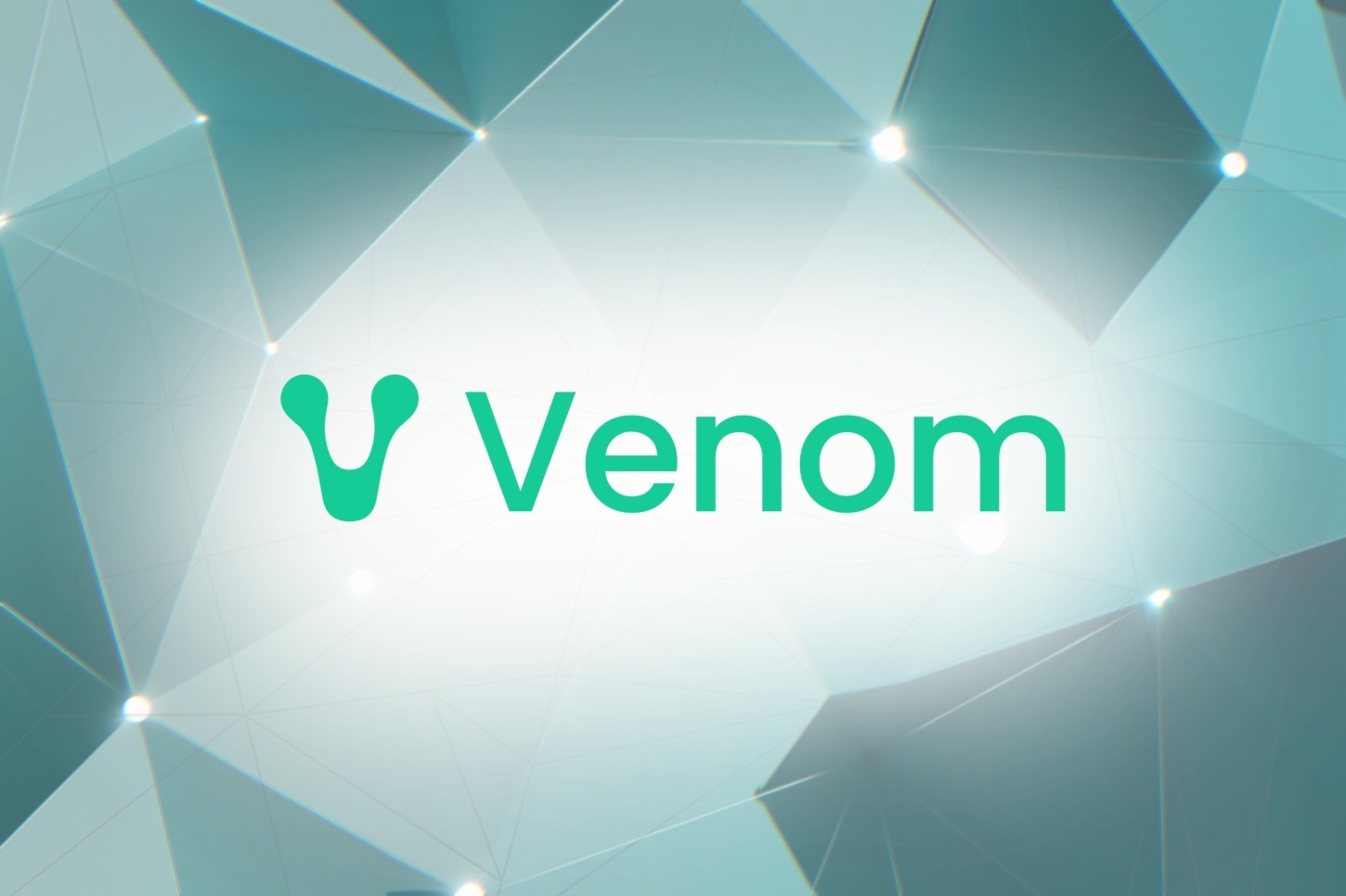 Venom Foundation urges Southeast Asian governments to build financial infrastructure with blockchain