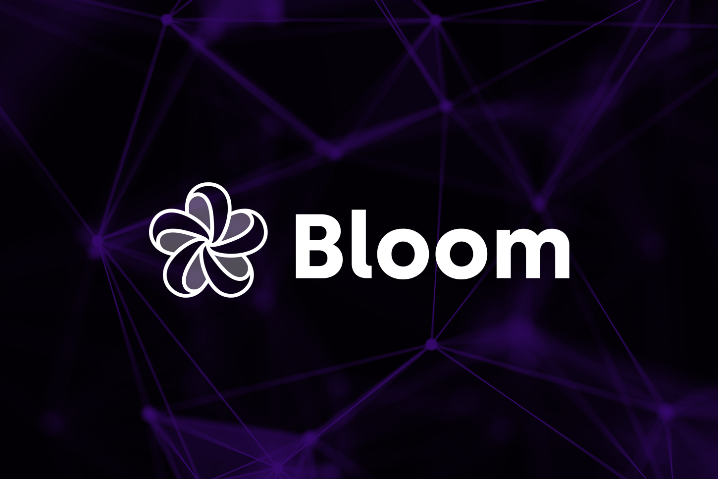 Bloom raises $1.6 million to build the social front-end for onchain finance