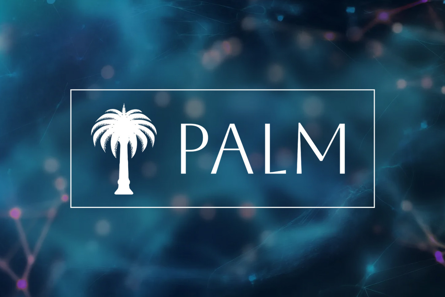 Palm USD launches PUSD: A global free stablecoin backed by AED and SAR