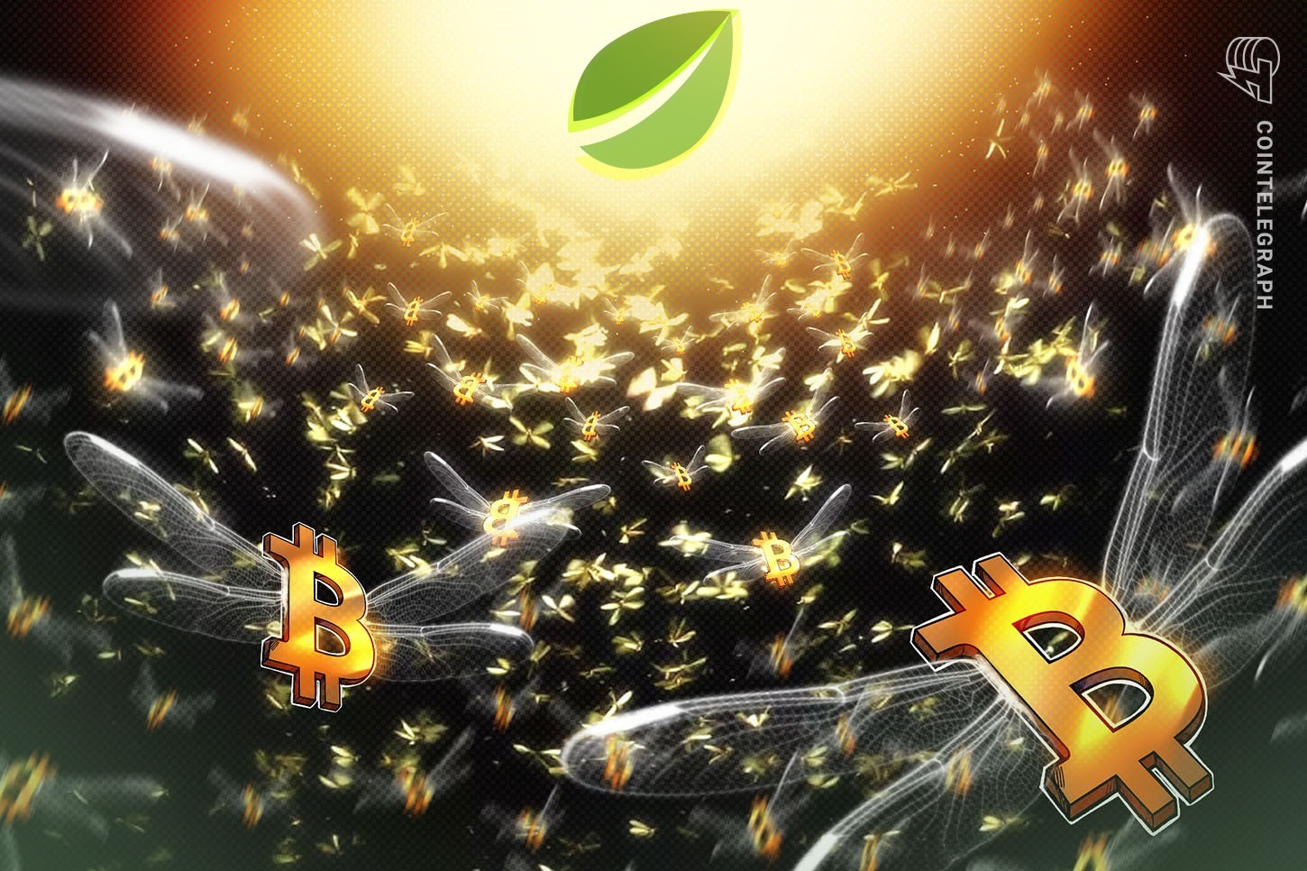 Bitfinex Bitcoin longs hit 2-year high: Is a rally to $100K possible?