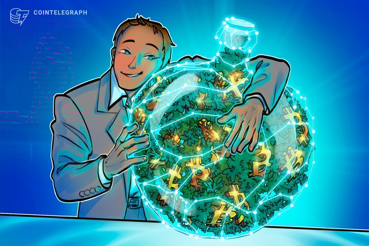 Bitcoin Defi Ecosystem Explained Bitcoin Defi Ecosystem Explained