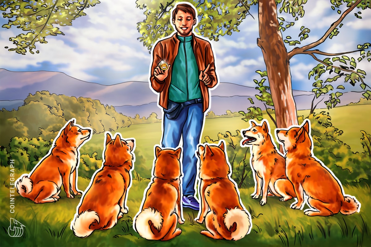 Shiba inu history hotsell