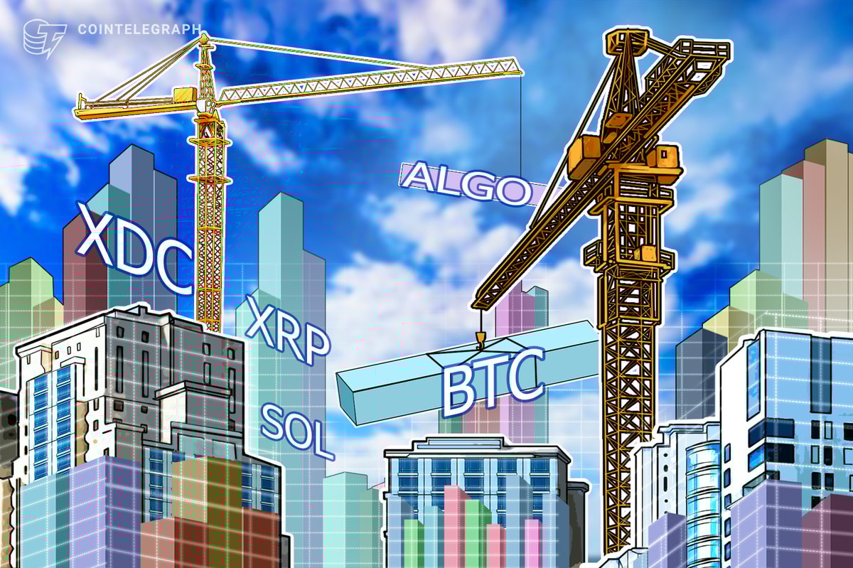 As Bitcoin prepares for new highs, the official Trump memecoin captures cryptocurrency market volume.
